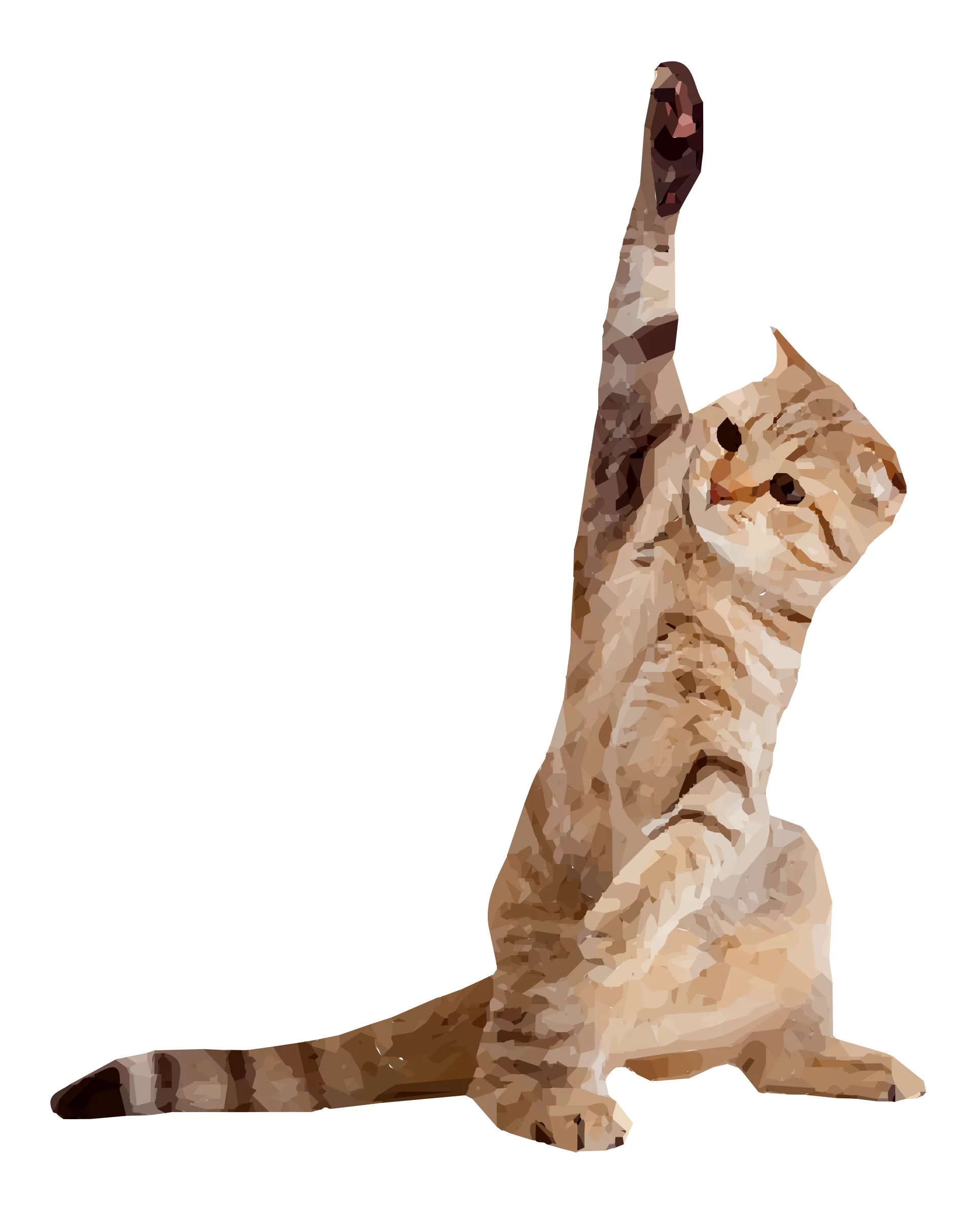 Playful Tabby Cat Stretching Paw Upward Against White Background Studio Shot