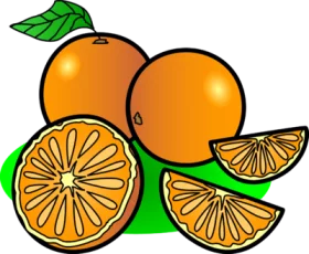 Vibrant Orange Fruit Clipart with Whole and Sliced Citrus Segments on Green Background