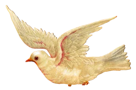 Beautiful Cream-Colored Flying Dove with Outstretched Wings - Peaceful Bird Clipart