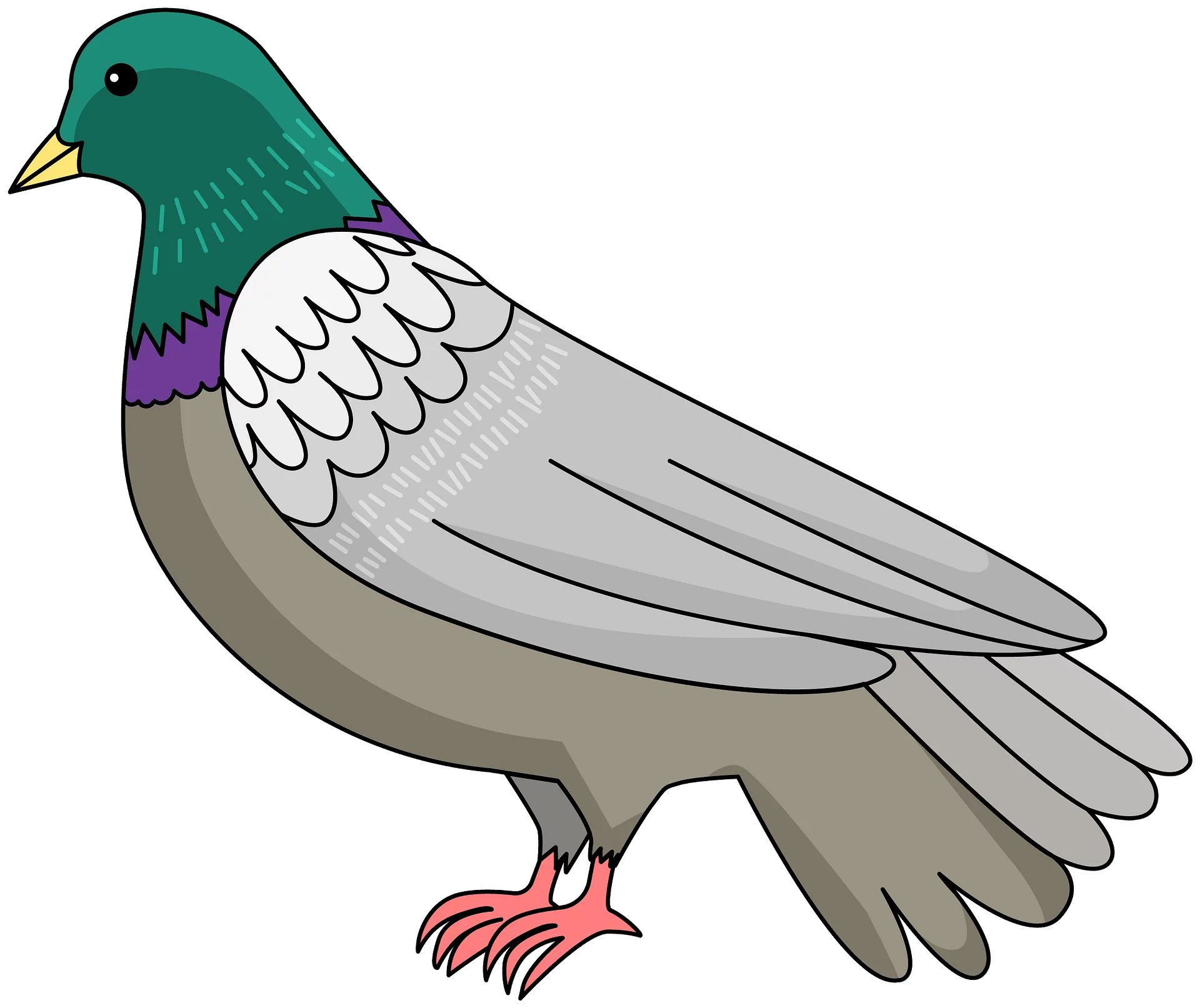 Colorful Pigeon Illustration with Teal Head and Gray Wings - Detailed Bird Clipart