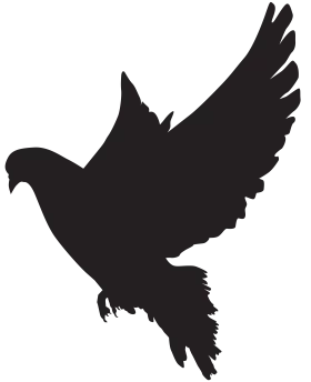 Elegant Black Dove Silhouette in Flight - Minimalist Peace Symbol Clipart