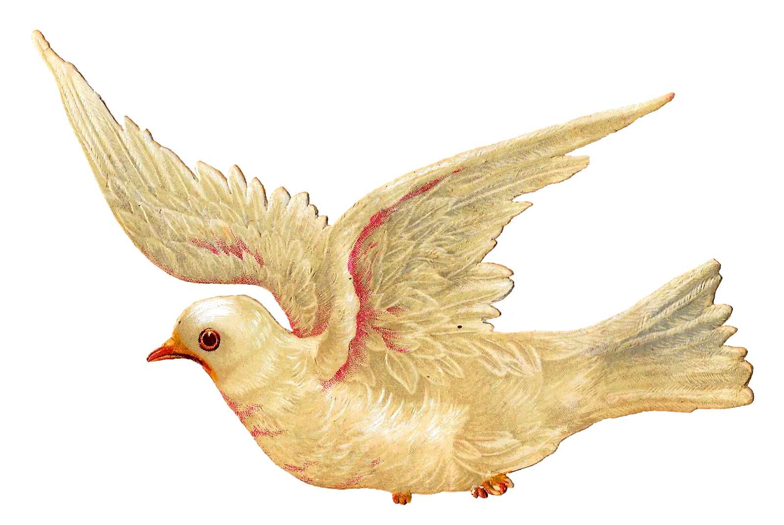 Elegant Flying Dove Clipart with Golden Wings and Peaceful Expression