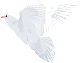 Elegant White Dove in Flight Clipart - Graceful Symbol of Peace and Freedom