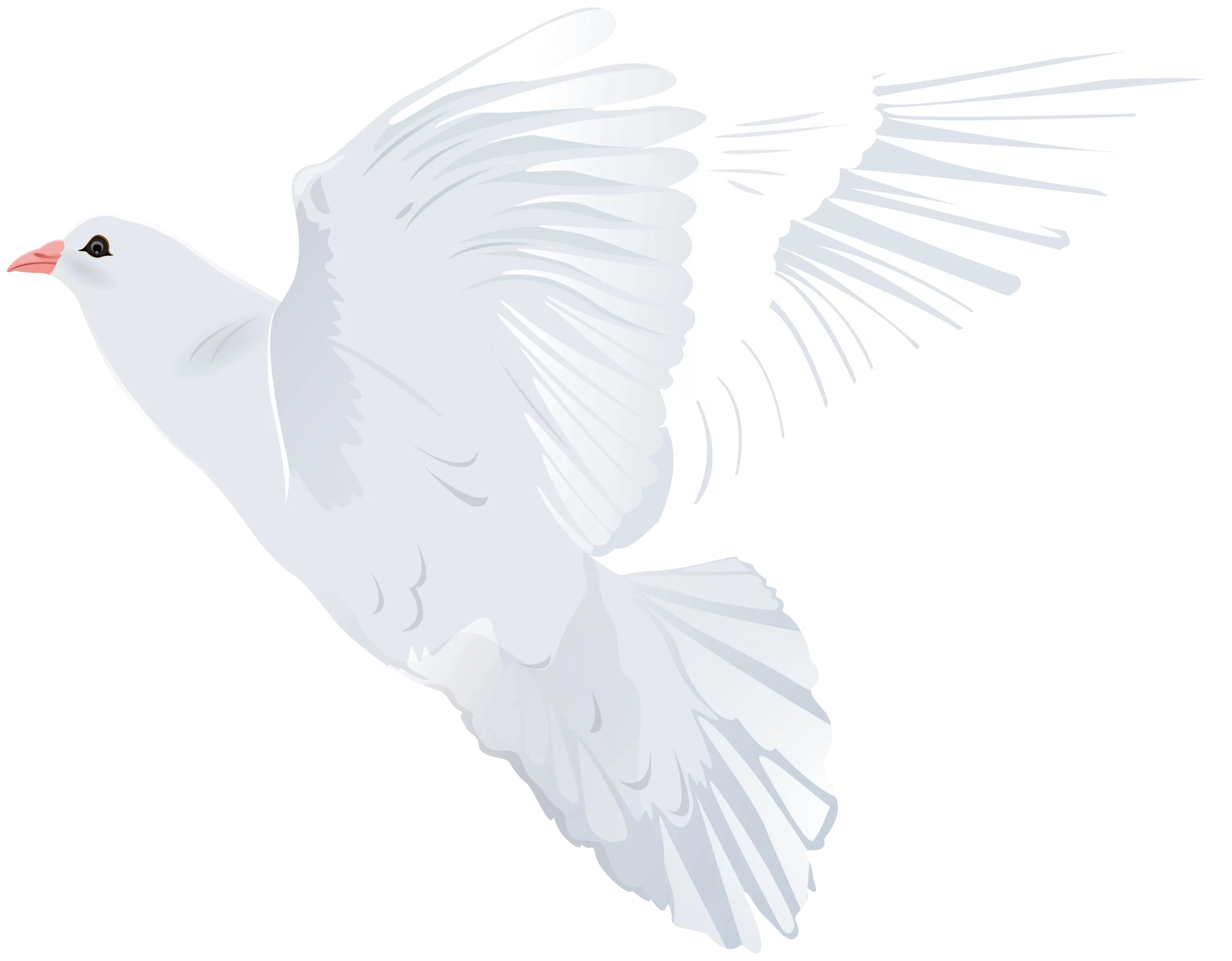 Elegant White Dove in Flight Clipart - Graceful Symbol of Peace and Freedom