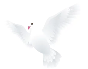 Elegant White Dove with Spread Wings in Flight - Peaceful Bird Clipart