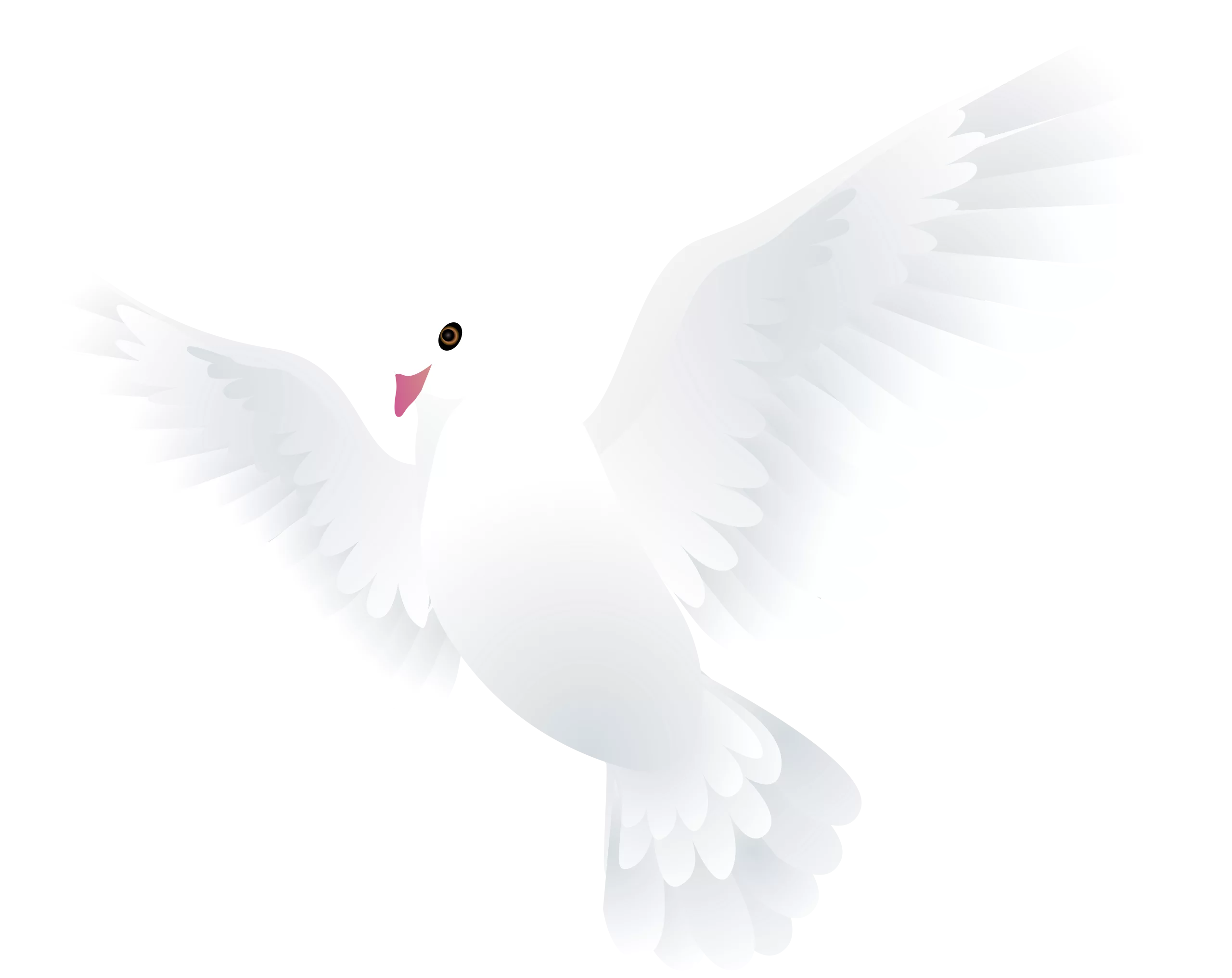 Elegant White Dove with Spread Wings in Flight - Peaceful Bird Clipart