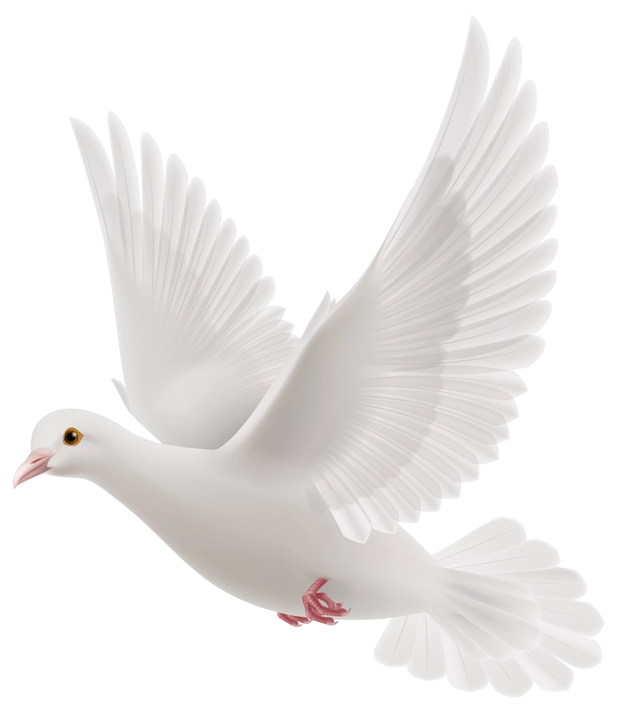 Graceful White Dove in Flight: A Symbol of Peace and Purity Clipart