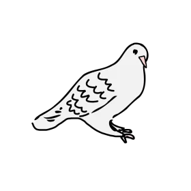 Simple Black and White Dove or Pigeon Line Art Illustration Clipart Design