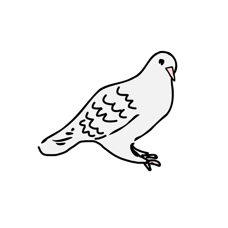 Simple Black and White Dove or Pigeon Line Art Illustration Clipart Design