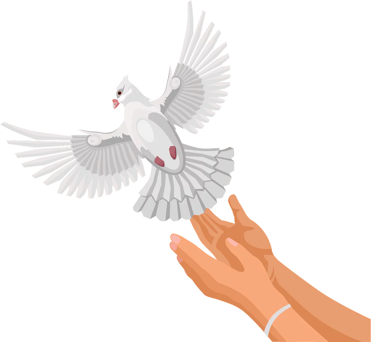 Symbolic Release of White Dove from Human Hands - Peace and Freedom Clipart Illustration