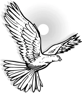 Elegant Flying Dove Silhouette with Spread Wings in Black and White Clipart