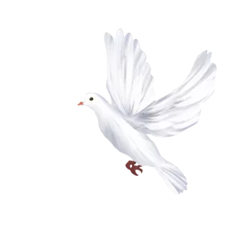 Elegant White Dove in Flight: Peaceful Symbol of Hope and Freedom Clipart