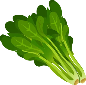 Fresh Green Spinach Leaves with Bright Stems and Vibrant Veins Clipart