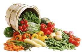 Fresh Harvest Bounty: Colorful Vegetables Spilling from Wooden Basket Clipart