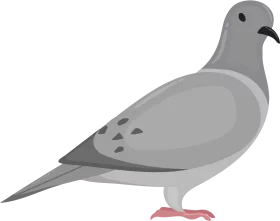 Urban Gray Pigeon Clipart: Simple Stylized Bird Illustration in Neutral Tones