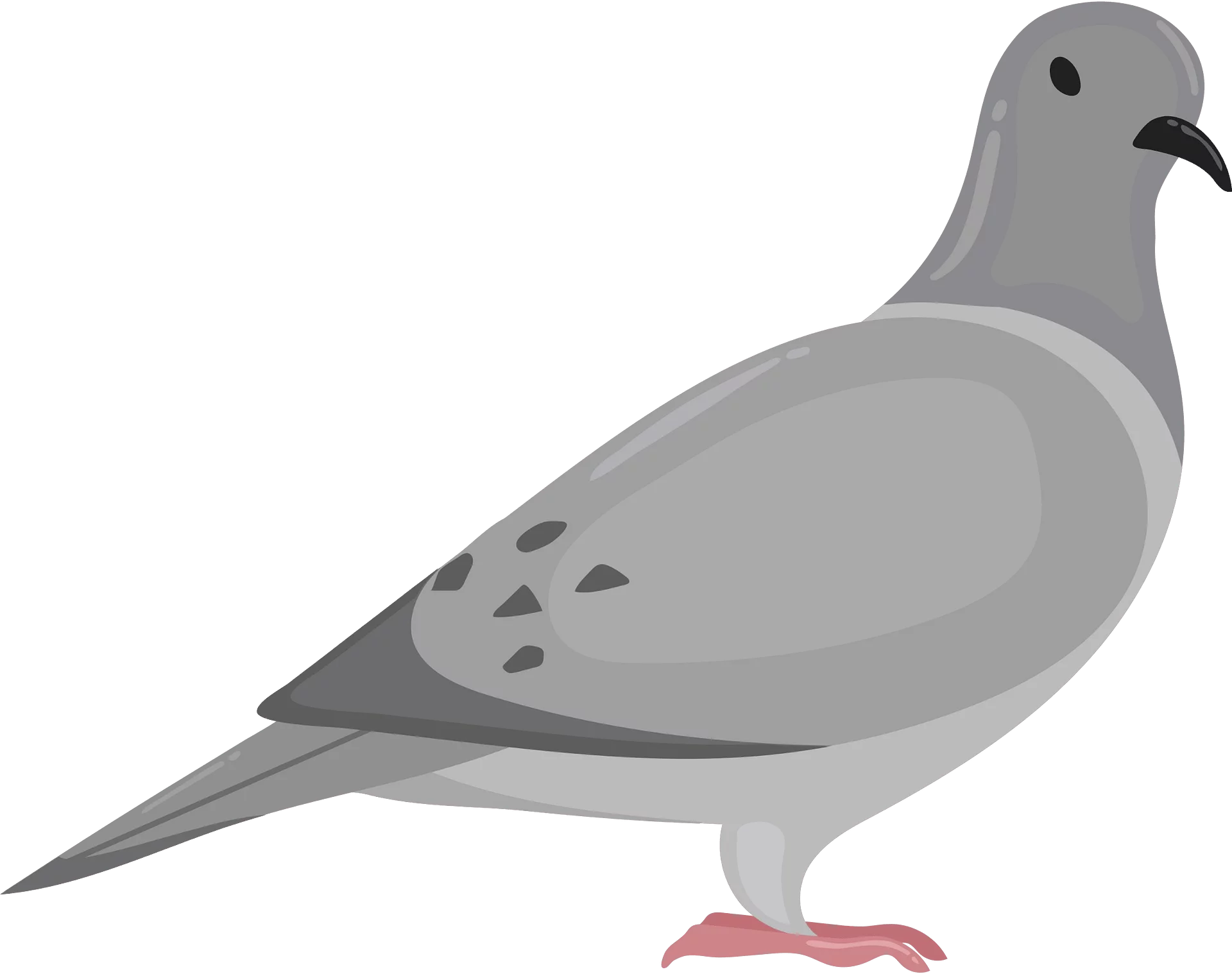 Urban Gray Pigeon Clipart: Simple Stylized Bird Illustration in Neutral Tones