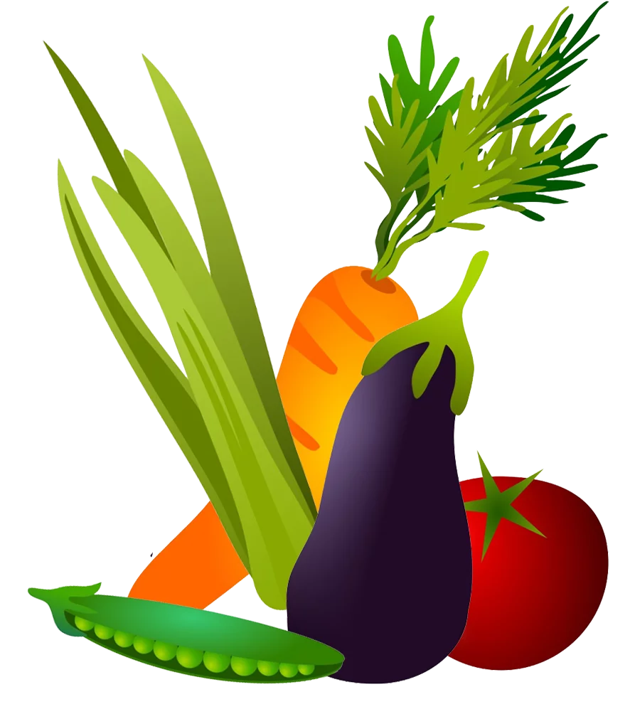 Vibrant Fresh Vegetable Collection Clipart with Carrot, Eggplant, Tomato and More