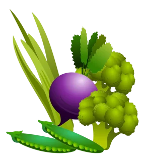 Vibrant Fresh Vegetables Digital Clipart with Purple Turnip and Green Produce