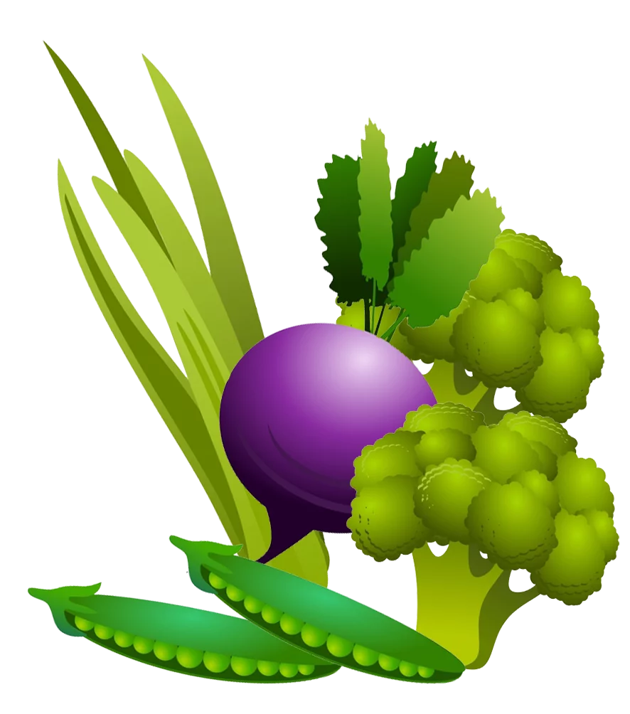 Vibrant Fresh Vegetables Digital Clipart with Purple Turnip and Green Produce