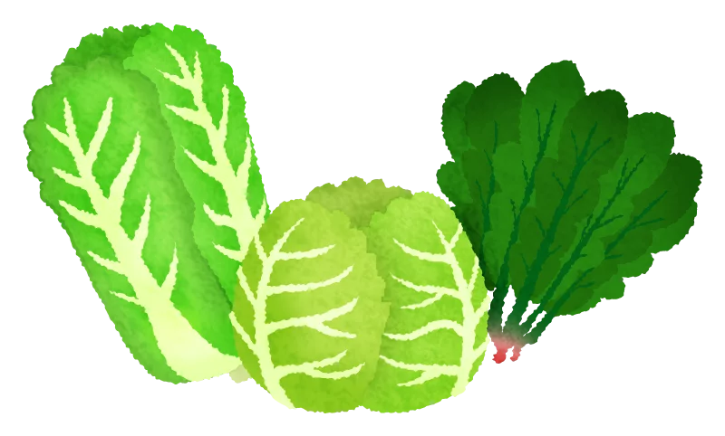 Vibrant Green Leafy Vegetables Watercolor Cabbage and Spinach Healthy Food Clipart