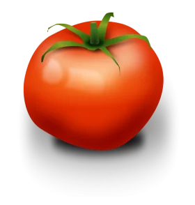 Vibrant Red Tomato with Green Stem and Leaf Realistic Detailed Clipart