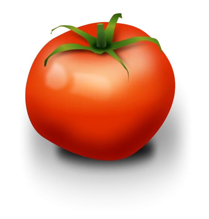 Vibrant Red Tomato with Green Stem and Leaf Realistic Detailed Clipart