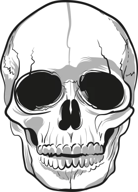 Detailed Black and White Anatomical Human Skull Illustration in Minimalist Clipart Style