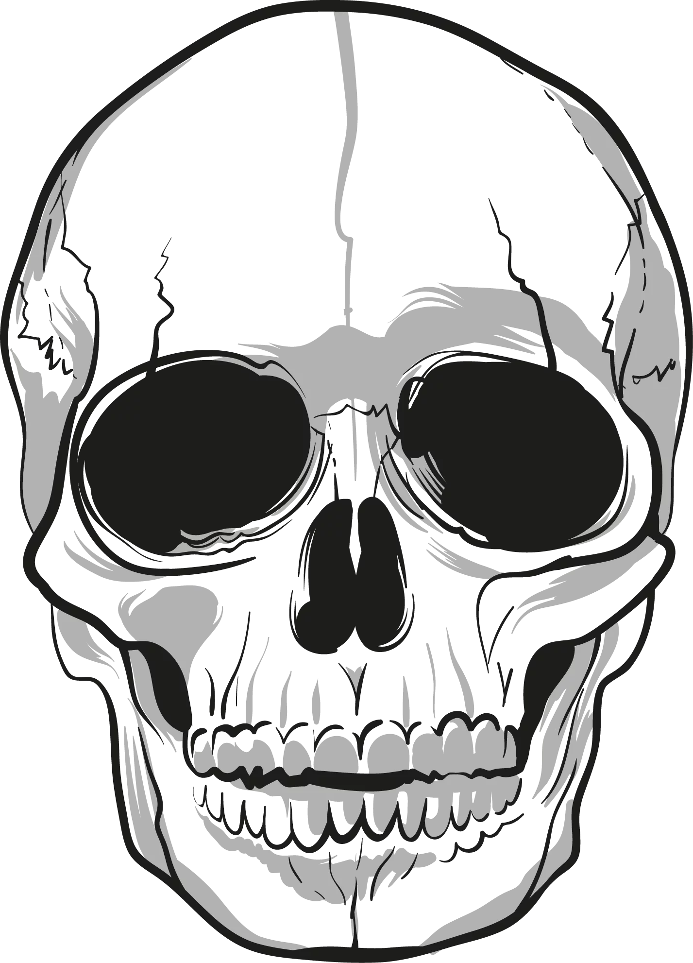 Detailed Black and White Anatomical Human Skull Illustration in Minimalist Clipart Style