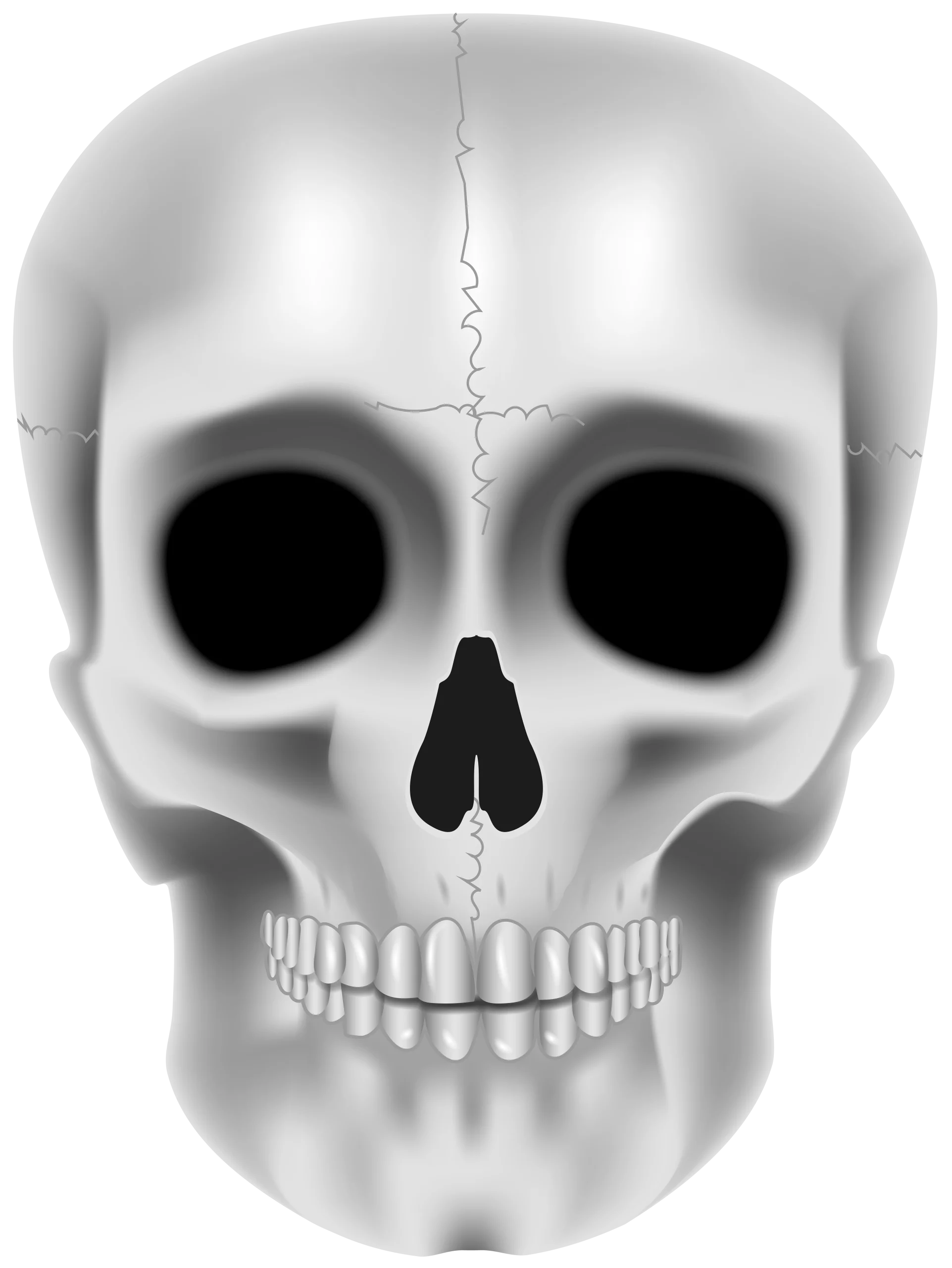 Minimalist Human Skull Anatomical Illustration in Grayscale Vector Clipart