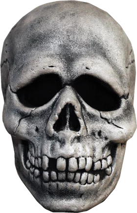 Realistic Gray Human Skull Clipart with Detailed Teeth and Facial Structure