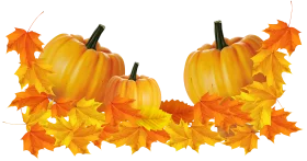 Autumn Harvest Pumpkins with Orange Maple Leaves Seasonal Fall Clipart