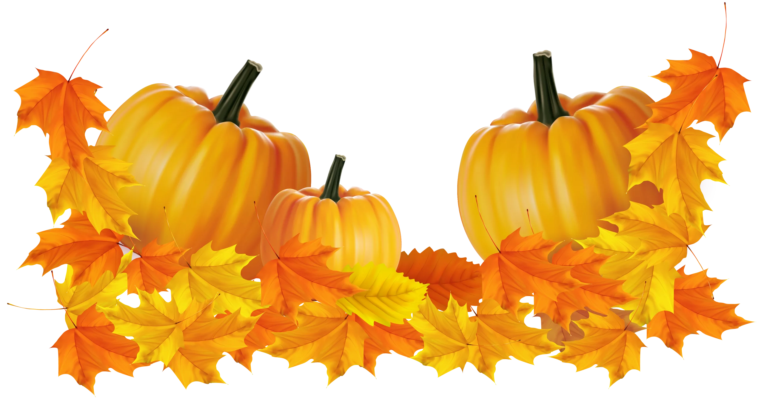 Autumn Harvest Pumpkins with Orange Maple Leaves Seasonal Fall Clipart