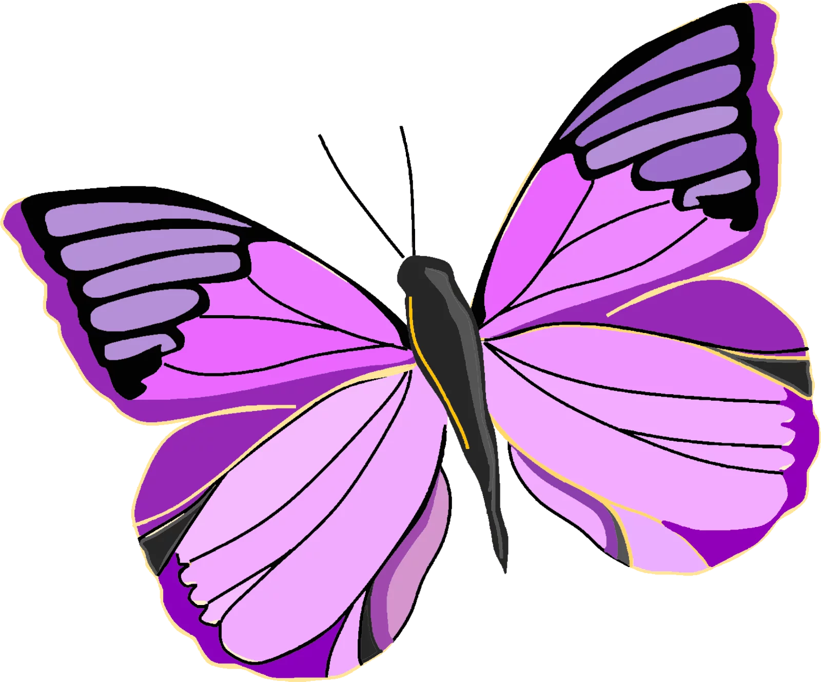 Beautiful Purple and Pink Butterfly Wings Decorative Nature Clipart Illustration