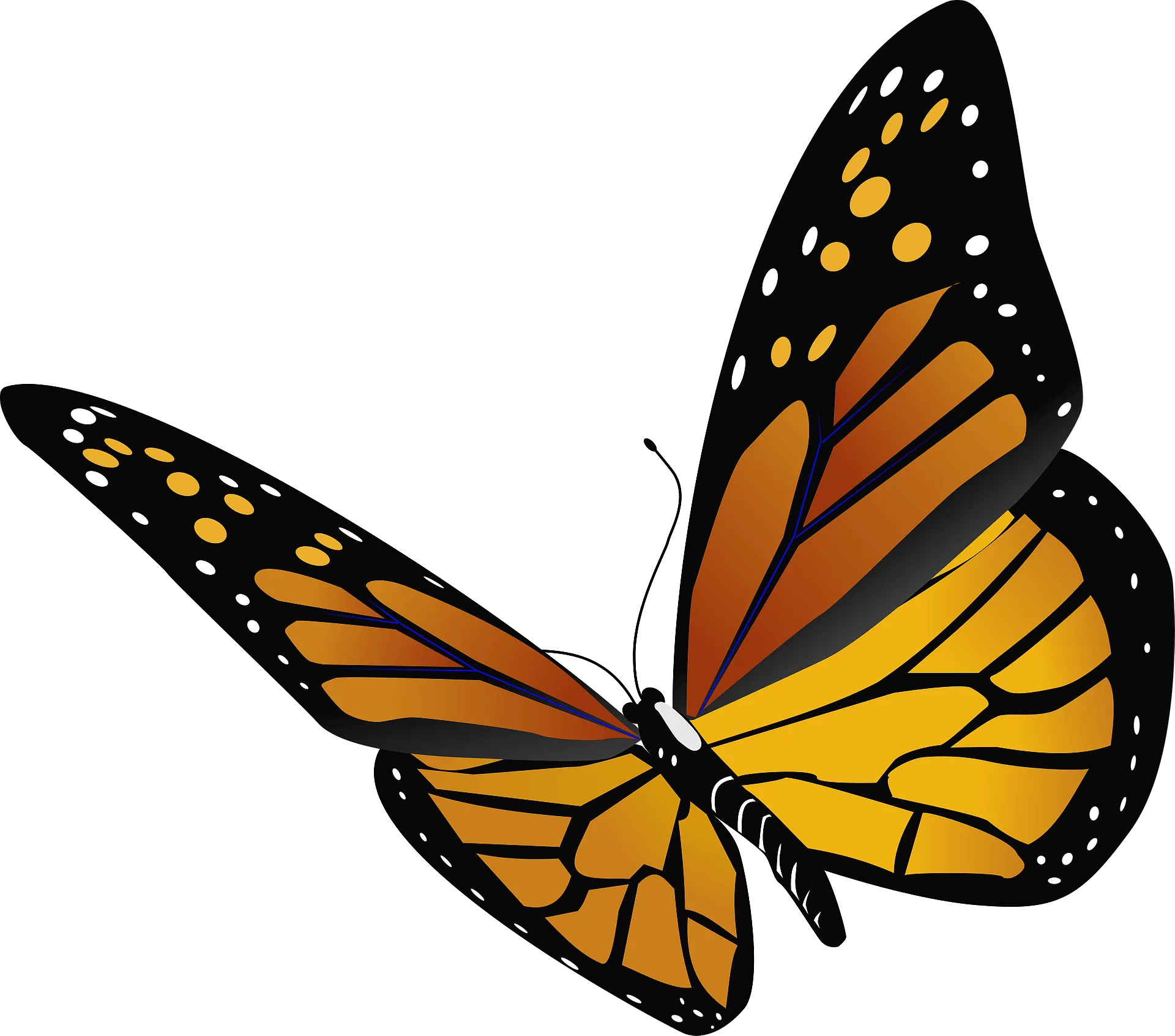 Elegant Orange Monarch Butterfly Clipart with Vibrant Wings and Detailed Patterns