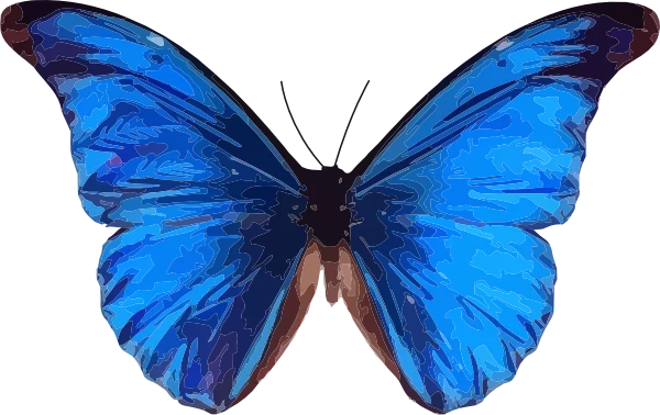 Magnificent Blue Morpho Butterfly Clipart with Translucent Wings and Dark Edges