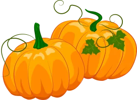 Seasonal Autumn Orange Pumpkin Collection with Green Vines Decorative Clipart