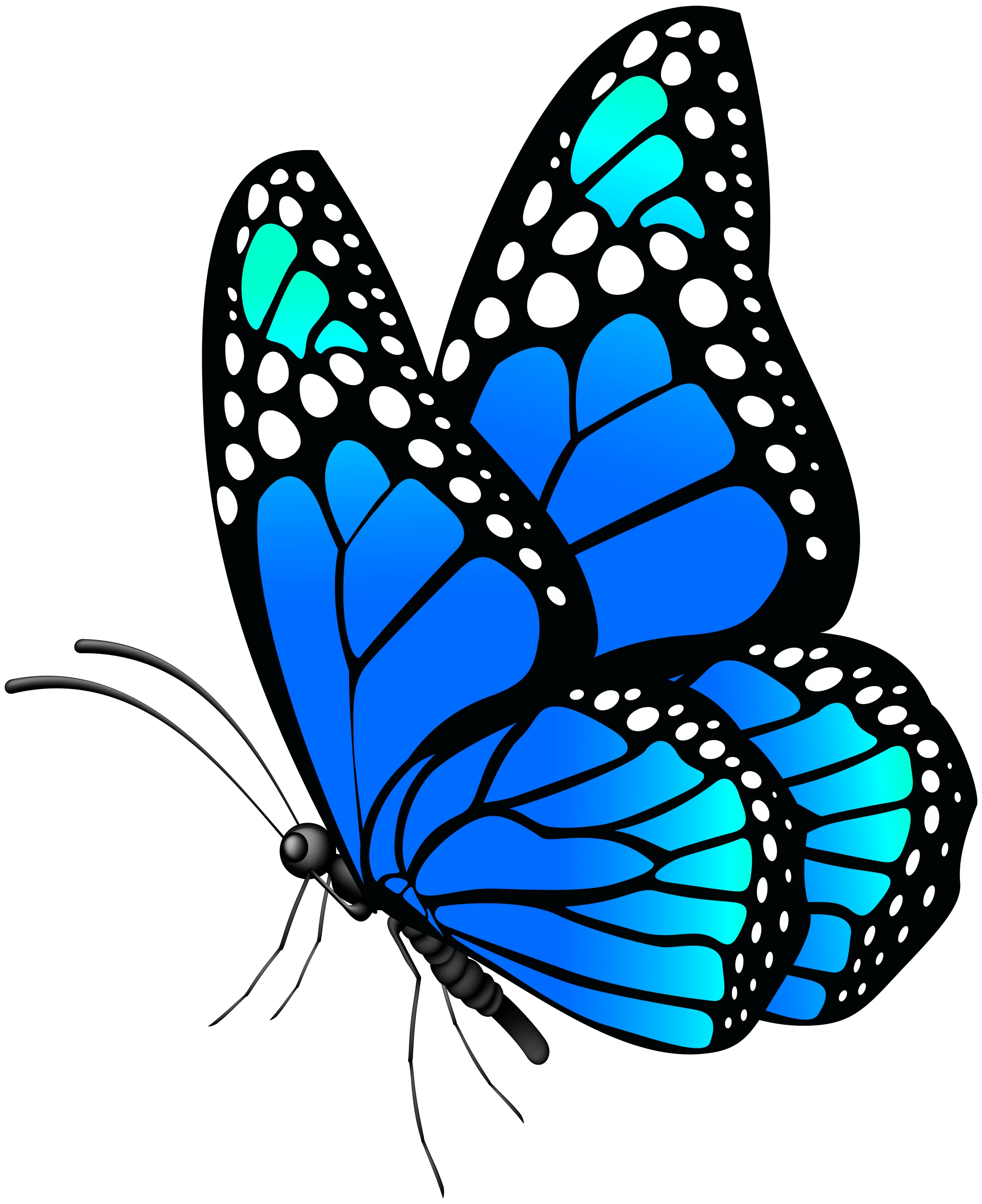 Vibrant Blue and Turquoise Butterfly with Spotted Wings Decorative Clipart Design