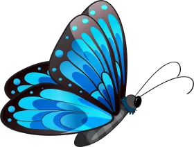 Vibrant Blue Butterfly Clipart with Shimmering Wings and Elegant Design