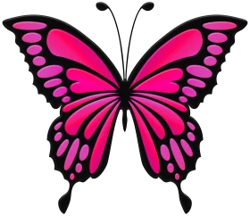 Vibrant Hot Pink Butterfly Clipart Illustration with Black Outline for Creative Projects