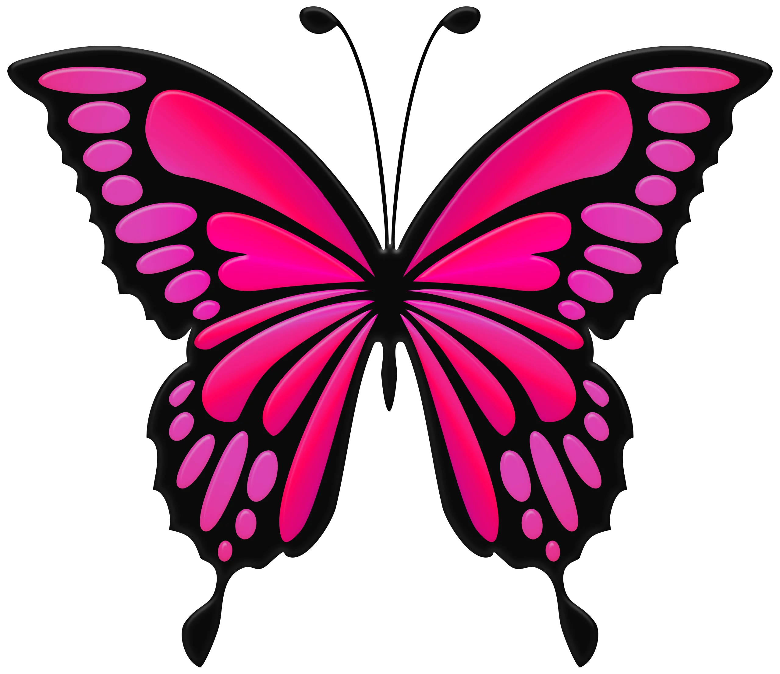 Vibrant Hot Pink Butterfly Clipart Illustration with Black Outline for Creative Projects