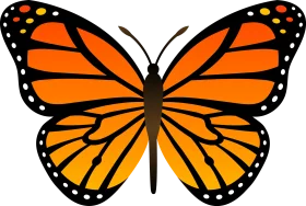 Vibrant Orange Monarch Butterfly Clipart with Symmetrical Wings and Black Border