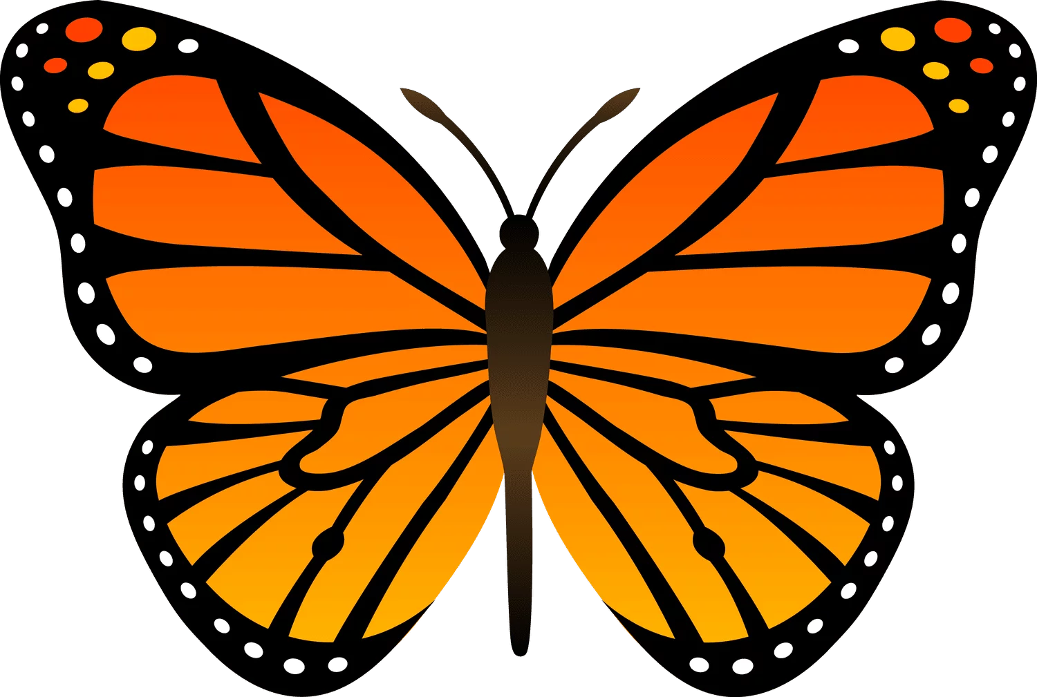 Vibrant Orange Monarch Butterfly Clipart with Symmetrical Wings and Black Border