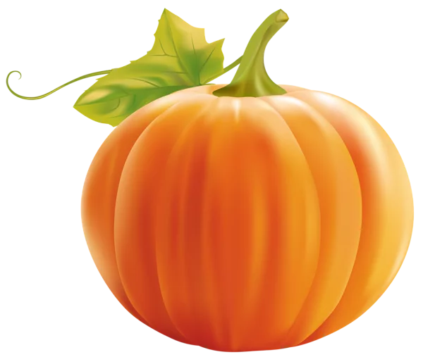 Vibrant Orange Pumpkin with Green Stem Autumn Season Harvest Clipart