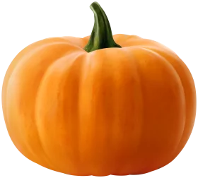 Vibrant Orange Pumpkin with Green Stem Isolated on White Background Clipart