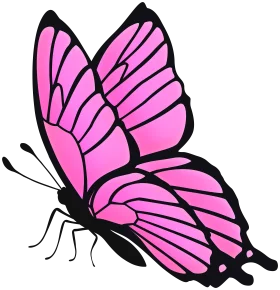 Vibrant Pink Butterfly with Black Outline - Elegant Wing Pattern Decorative Clipart