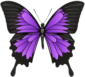 Vibrant Purple and Black Butterfly Clipart with Elegant Wing Design