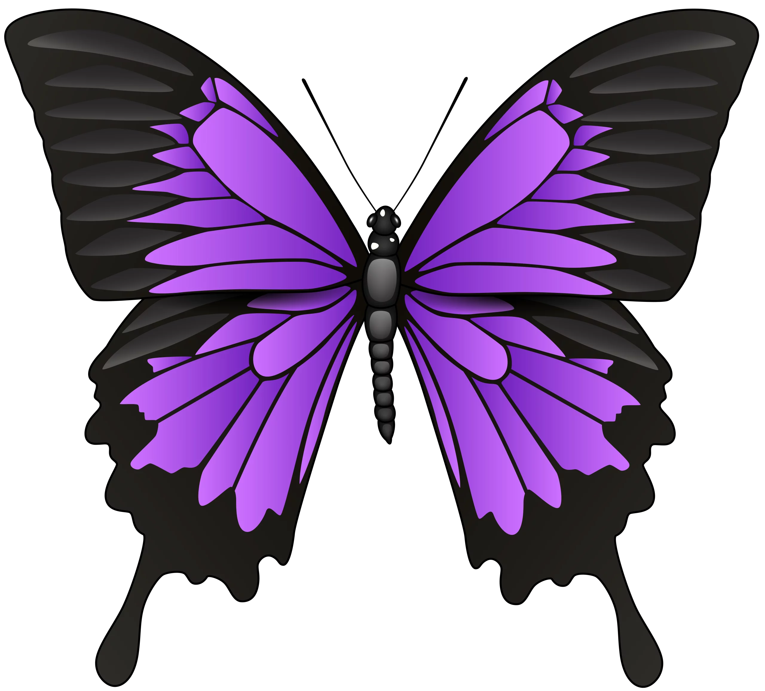 Vibrant Purple and Black Butterfly Clipart with Elegant Wing Design