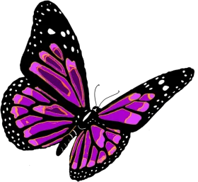 Vibrant Purple Monarch Butterfly with Black Wings and White Spots Clipart Illustration