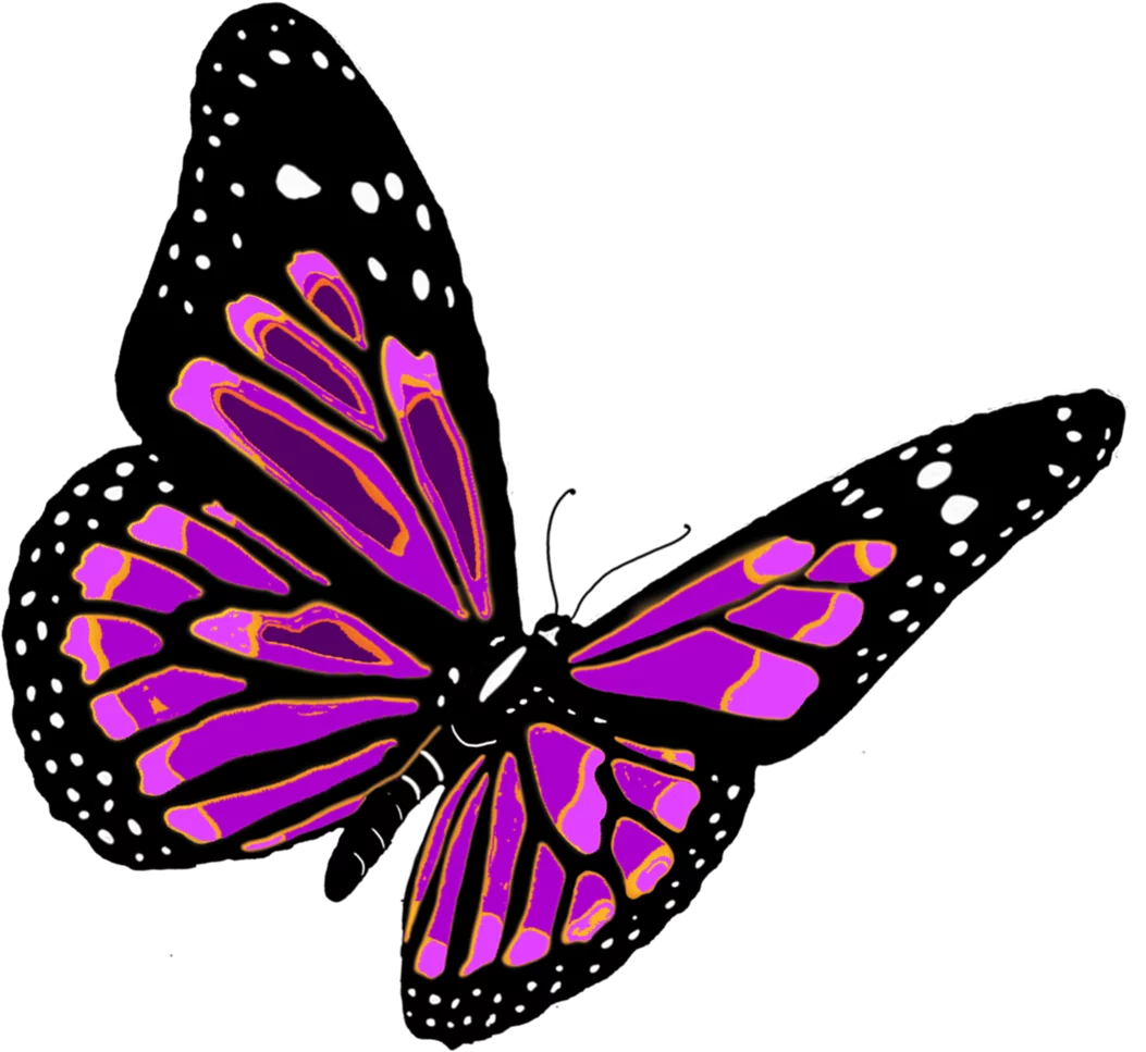 Vibrant Purple Monarch Butterfly with Black Wings and White Spots Clipart Illustration