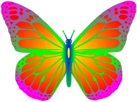 Vibrant Rainbow Butterfly with Gradient Wings and Elegant Pattern Clipart